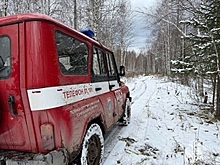 Названы результаты новой операции по поиску семьи Усольцевых