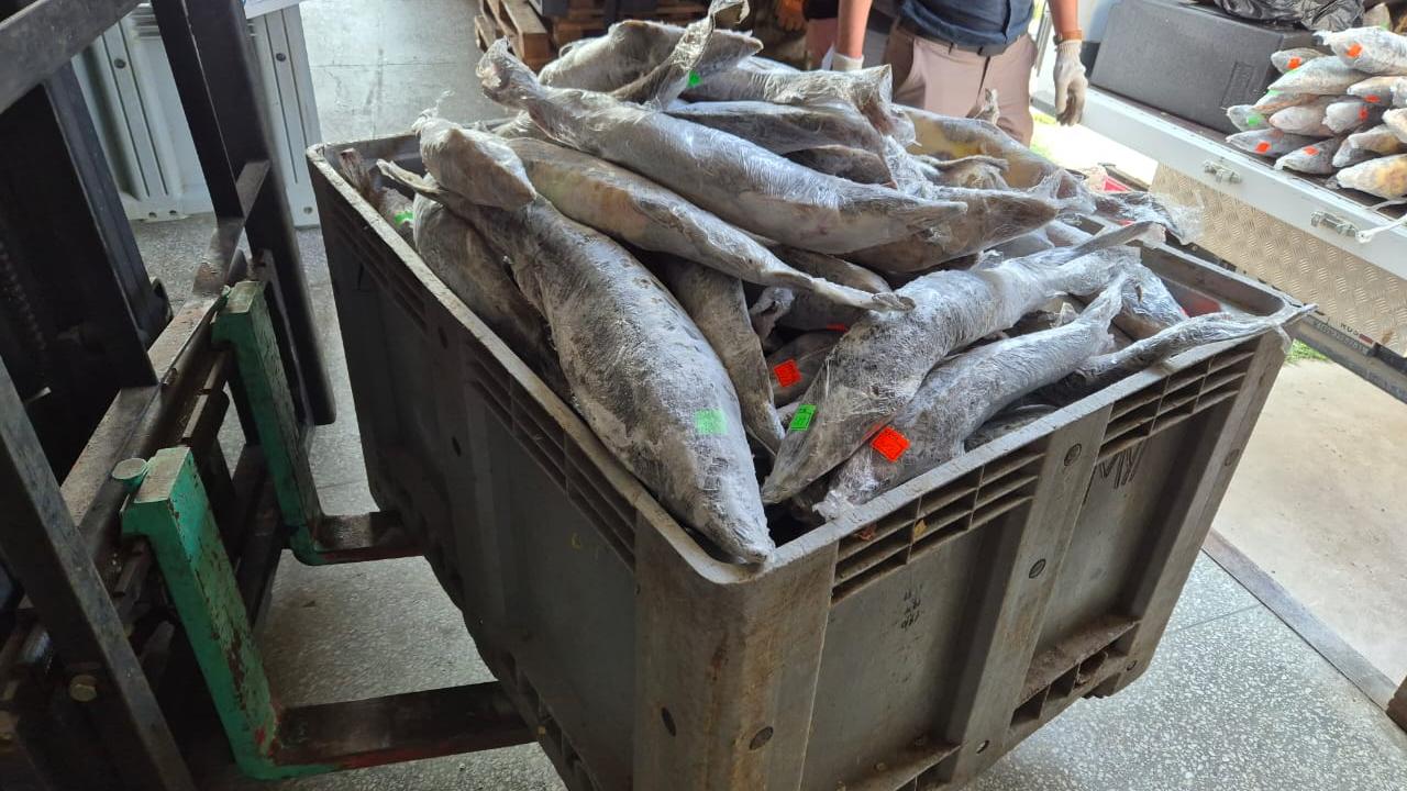 Астраханской полицией изъято 800 кг краснокнижной рыбы и свыше 100 кг чёрной икры без маркировки