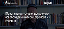 Юрист назвал условия досрочного освобождения актера Ефремова из колонии