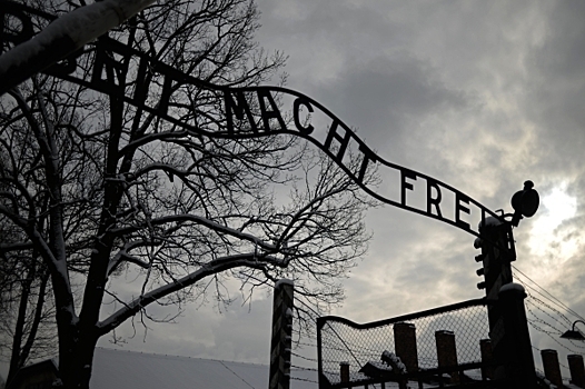 В РАН согласились с предложением писать слово «холокост» с заглавной буквы