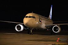 В Нижнем Новгороде из-за родов на борту незапланированно сел самолет