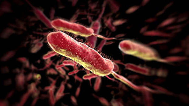 Project Syndicate (США): где восстание против угрозы резистентности к антибиотикам?