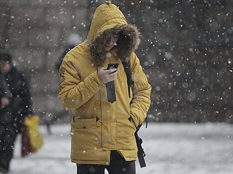 Синоптик Ильин спрогнозировал потепление в Москве с 25 февраля