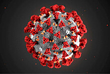 Российские эксперты оценили опасность нового штамма коронавируса "йота"