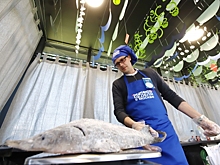 В ЗАО открылся традиционный гастрономический фестиваль «Рыбная неделя»
