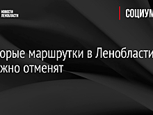 Некоторые маршрутки в Ленобласти возможно отменят