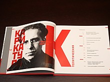 В Новосибирске издали книгу с политическими карикатурами про загнивающий Запад