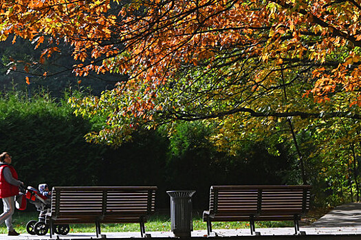 Во время пандемии жители мегаполисов стали больше ценить "островки природы"