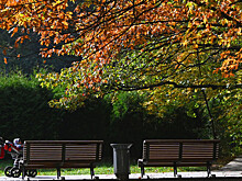 Во время пандемии жители мегаполисов стали больше ценить "островки природы"
