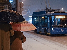 До 4 см снега выпало в Москве минувшей ночью