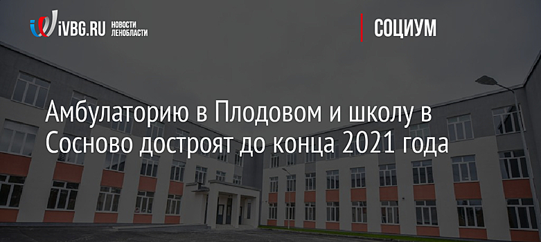 Амбулаторию в Плодовом и школу в Сосново достроят до конца 2021 года