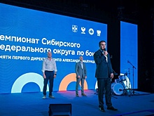 Названы победители чемпионата Сибирского федерального округа по боксу