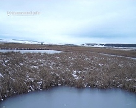 В Башкортостане возрождается Берказанское болото