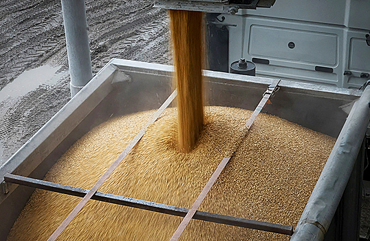 Financial Times: ЕС установит пошлину на импорт зерна из России и Белоруссии