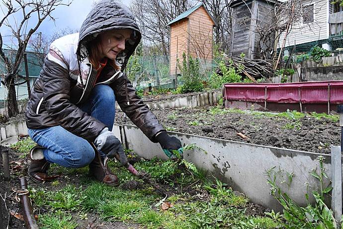 Россиянам перечислили запрещенные действия на даче