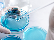 Разум из пробирки: возможно ли вырастить искусственный мозг