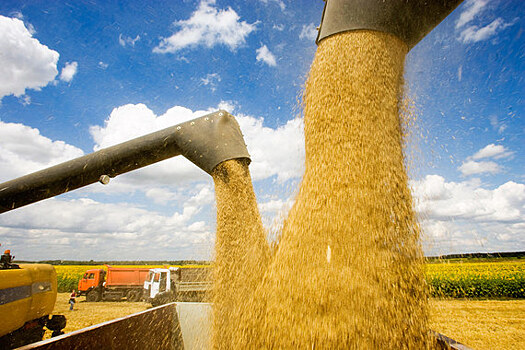 Минсельхоз направил в ФАС предложения по ценам для зерновых и молочных интервенций