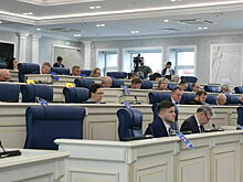 Депутаты настаивают на передаче земель под ИЖС для нуждающихся граждан