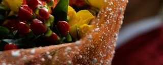 Фестиваль цветов во Владивостоке пройдёт на десяти площадках