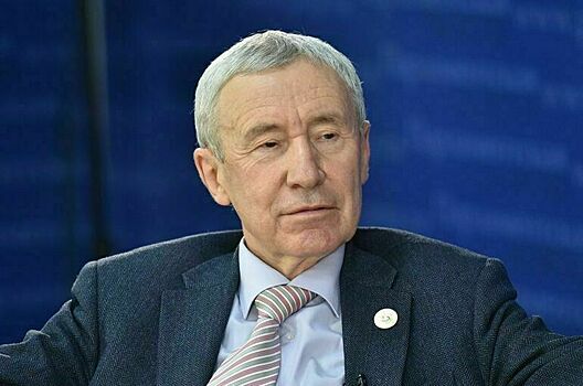 В Совете Федерации рассказали, что может быстро «вразумить» Тель-Авив