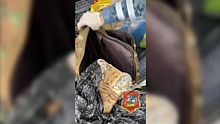Наркокурьера с килограммом кокаина в багажнике задержали в Люберцах
