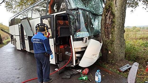 Выехал на встречку и врезался в два дерева: подробности ДТП с автобусом в Зеленоградском районе