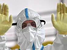 ВОЗ созывает чрезвычайный комитет по оспе обезьян