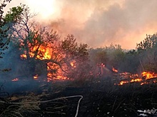 Авиагруппировку на тушении лесного пожара в Ростовской области увеличили до девяти елиниц