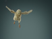 Без «подушки безопасности» и детального плана – как я начала свой бизнес