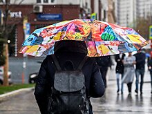 Москвичей предупредили о резком похолодании и дождях в выходные
