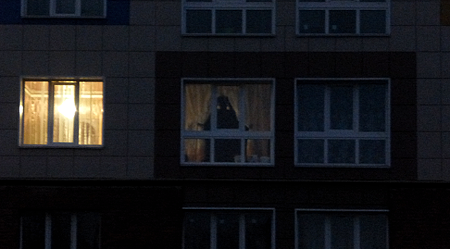 Женщина увидела странную фигуру у окна в доме напротив и испугалась, затем взяла бинокль и не могла поверить увиденному
