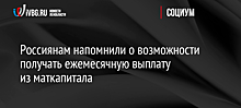 Россиянам напомнили о возможности получать ежемесячную выплату из маткапитала