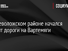 Во Всеволожском районе начался ремонт дороги на Вартемяги