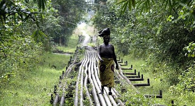 Защита климата в Африке: «Лес это наша жизнь»