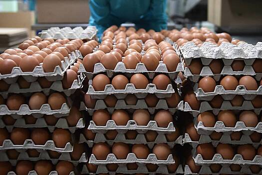 Азербайджан отправил в Россию третью партию яиц