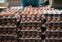 Азербайджан отправил в Россию третью партию яиц