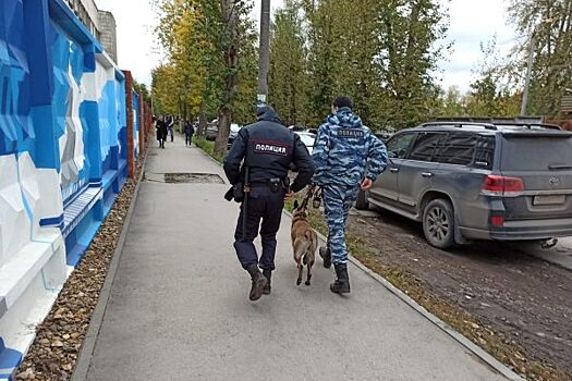 В Канске задержали мужчину, который надругался над шестиклассником