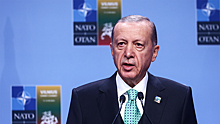 В МГИМО оценили решение Эрдогана по членству Швеции в НАТО