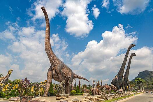 Впервые найдены доказательства недостатка длинношеих динозавров