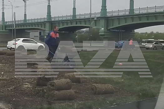 В Петербурге расстелили газон для торжественного открытия дороги и убрали