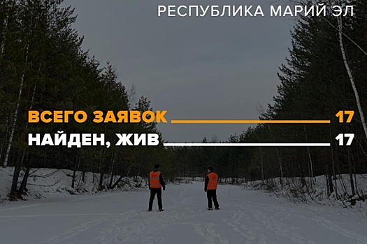 Новогоднее чудо в Марий Эл: все пропавшие в декабре найдены живыми