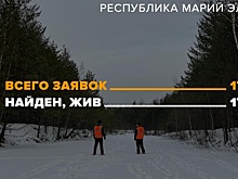Новогоднее чудо в Марий Эл: все пропавшие в декабре найдены живыми