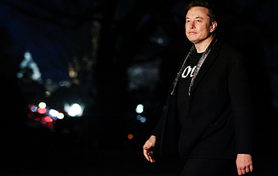 Маск: США могут превратиться в однопартийное государство