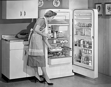 Почему холодильник необходимо мыть раз в неделю