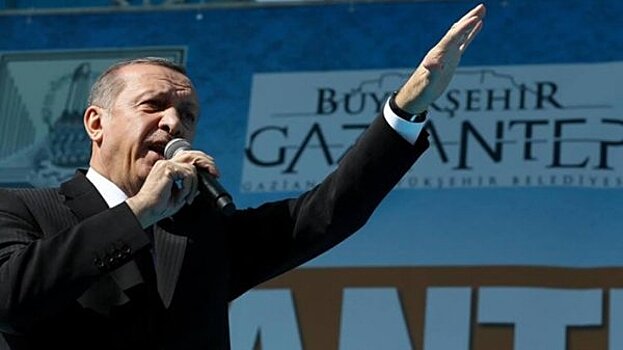 Эрдоган "повышает градус" настроений против США и Израиля в интересах Турции на Ближнем Востоке