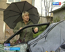 Жительница Советска уже полгода не может найди ответственных, за упавшее на её машину дерево