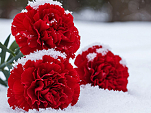 Россия призывает к международному признанию геноцида советского народа