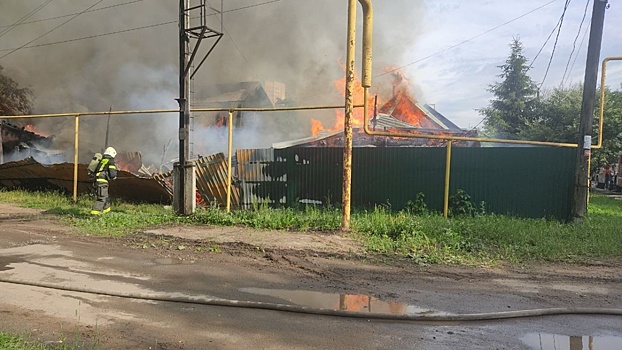 Более 15 собак погибли во время пожара в Нижнем Новгороде