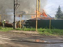 Более 15 собак погибли во время пожара в Нижнем Новгороде