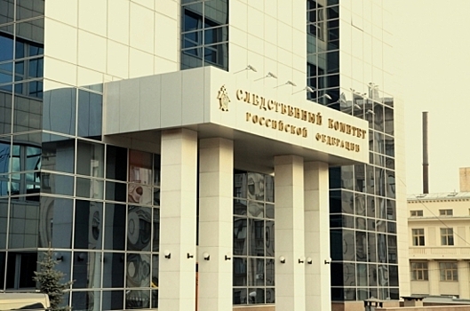 Школьника из Ивантеевки обвиняют в покушении на убийство